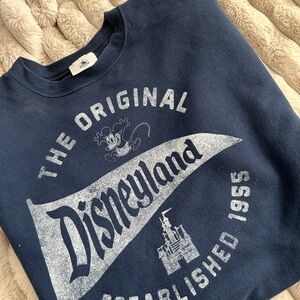 Disney Parks Blue Sweatshirt